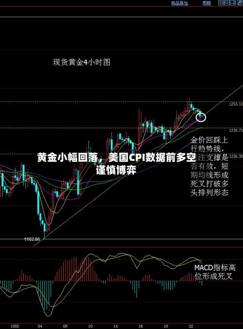 黄金小幅回落，美国CPI数据前多空谨慎博弈