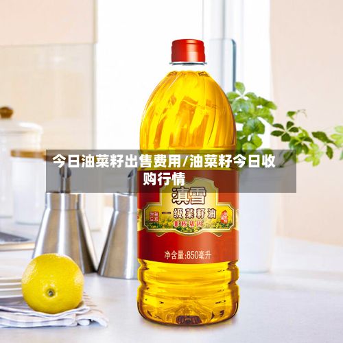 今日油菜籽出售费用/油菜籽今日收购行情