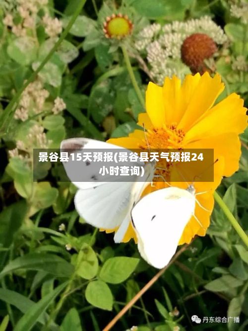 景谷县15天预报(景谷县天气预报24小时查询)-第2张图片