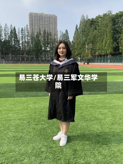 易三苍大学/易三军文华学院-第3张图片