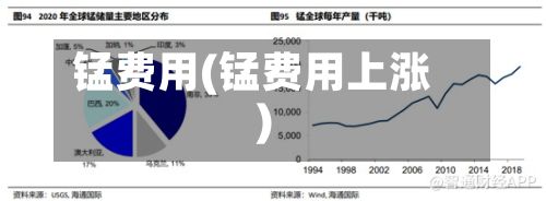 锰费用(锰费用上涨)-第3张图片
