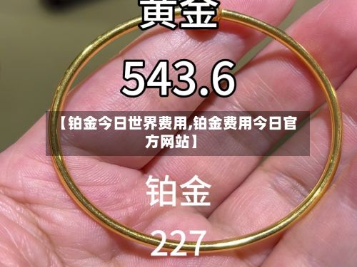 【铂金今日世界费用,铂金费用今日官方网站】-第3张图片