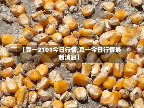 【豆一2101今日行情,豆一今日行情最新消息】