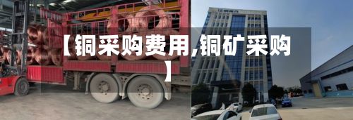 【铜采购费用,铜矿采购】-第2张图片