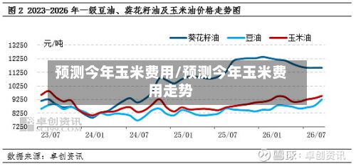 预测今年玉米费用/预测今年玉米费用走势-第2张图片