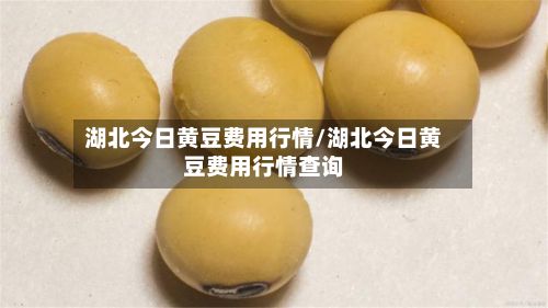 湖北今日黄豆费用行情/湖北今日黄豆费用行情查询