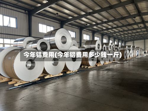 今年铝费用(今年铝费用多少钱一斤)-第3张图片