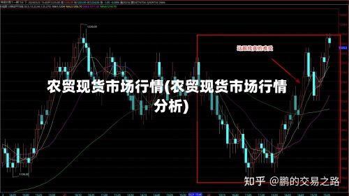 农贸现货市场行情(农贸现货市场行情分析)
