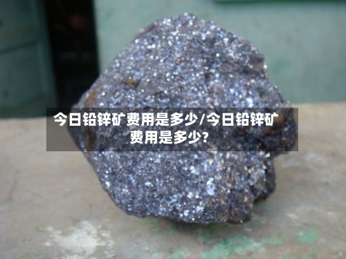 今日铅锌矿费用是多少/今日铅锌矿费用是多少?-第3张图片