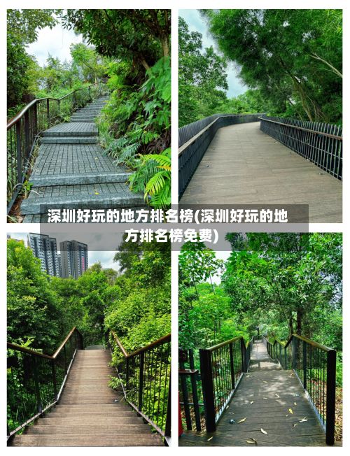 深圳好玩的地方排名榜(深圳好玩的地方排名榜免费)