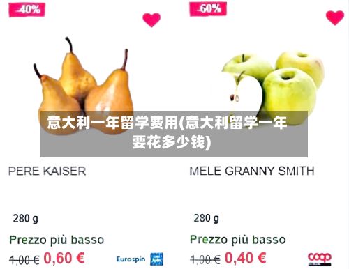 意大利一年留学费用(意大利留学一年要花多少钱)