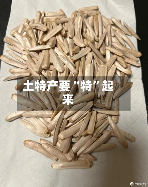 土特产要“特”起来-第2张图片
