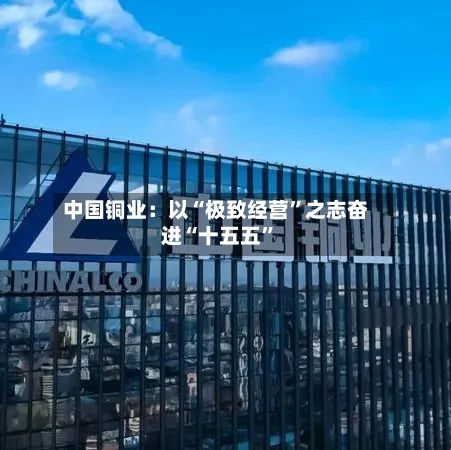 中国铜业：以“极致经营”之志奋进“十五五	”-第3张图片
