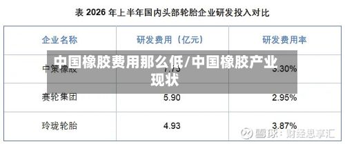 中国橡胶费用那么低/中国橡胶产业现状