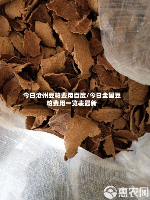 今日沧州豆粕费用百度/今日全国豆粕费用一览表最新
