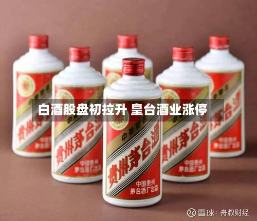 白酒股盘初拉升 皇台酒业涨停-第2张图片
