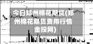 今日郑州棉花期货(郑州棉花期货费用行情金投网)-第2张图片