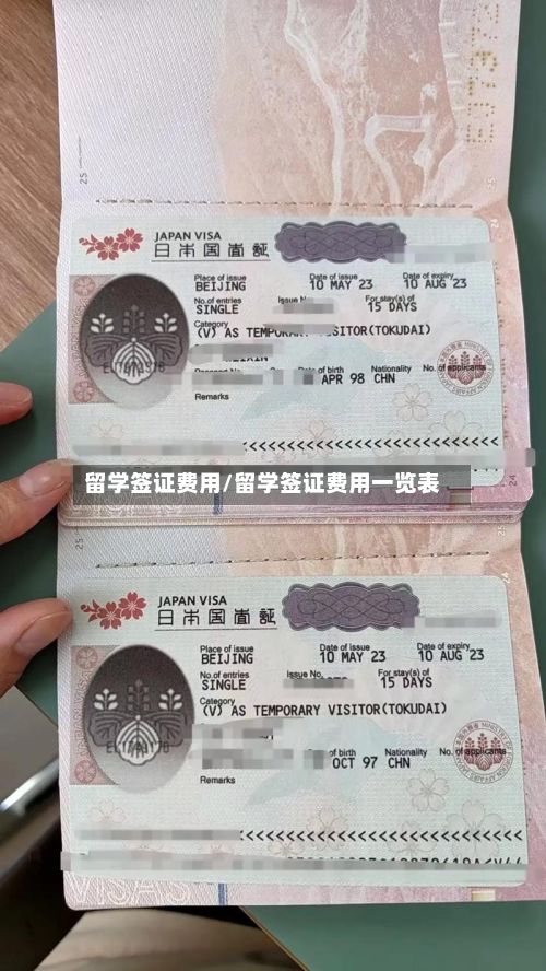 留学签证费用/留学签证费用一览表-第3张图片