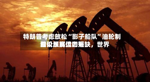 特朗普考虑放松“影子船队”油轮制裁以缓解运力短缺，世界油价从高位回落