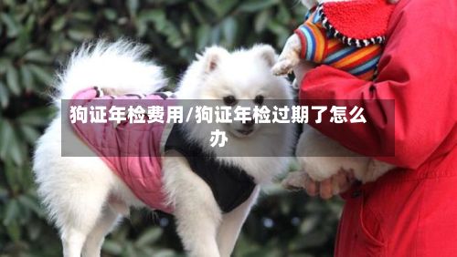 狗证年检费用/狗证年检过期了怎么办-第2张图片