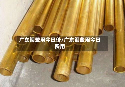 广东铜费用今日价/广东铜费用今日费用