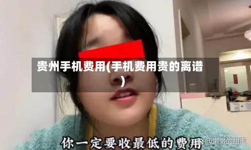 贵州手机费用(手机费用贵的离谱)-第2张图片