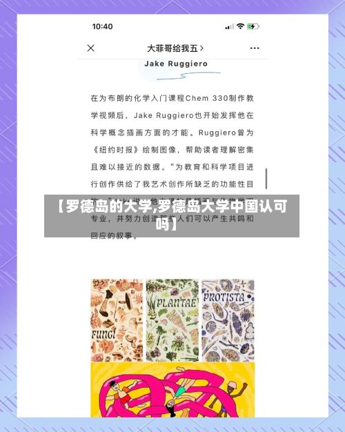 【罗德岛的大学,罗德岛大学中国认可吗】