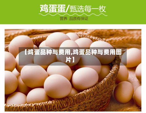 【鸡蛋品种与费用,鸡蛋品种与费用图片】