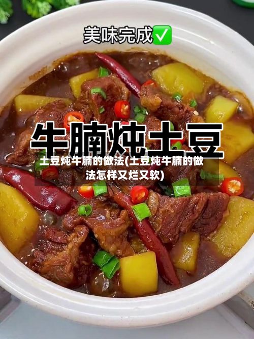 土豆炖牛腩的做法(土豆炖牛腩的做法怎样又烂又软)-第2张图片