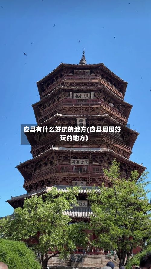 应县有什么好玩的地方(应县周围好玩的地方)