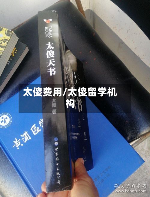 太傻费用/太傻留学机构