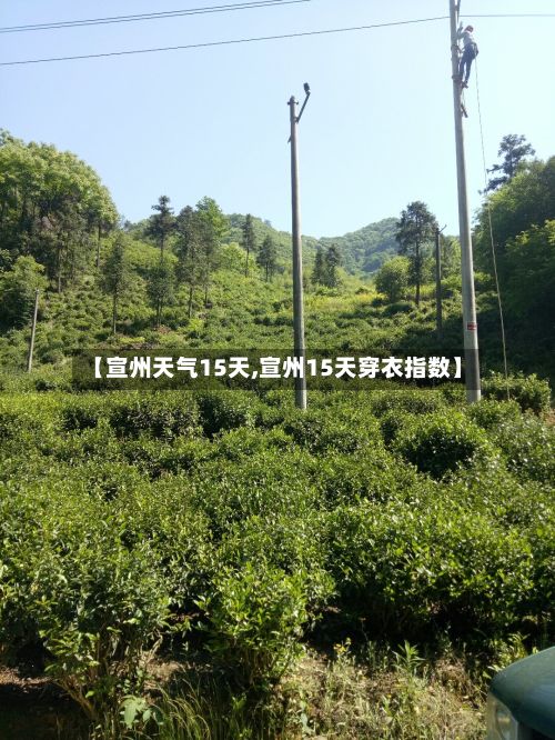 【宣州天气15天,宣州15天穿衣指数】
