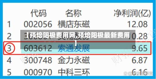 【预焙阳极费用网,预焙阳极最新费用】-第2张图片