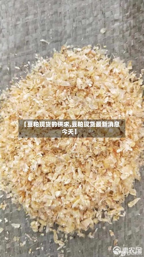 【豆粕现货的供求,豆粕现货最新消息今天】-第2张图片