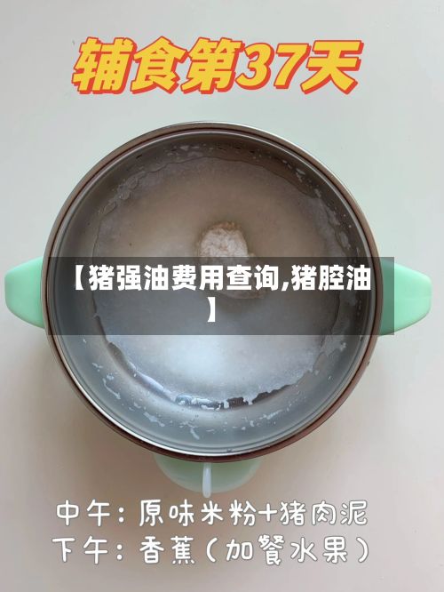 【猪强油费用查询,猪腔油】