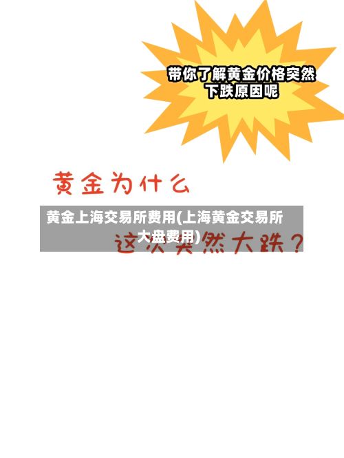 黄金上海交易所费用(上海黄金交易所大盘费用)