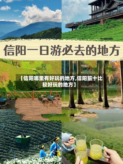 【信阳哪里有好玩的地方,信阳前十比较好玩的地方】