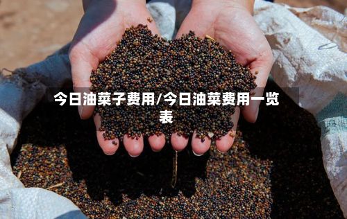 今日油菜子费用/今日油菜费用一览表-第2张图片