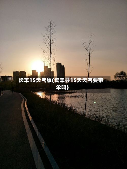 长丰15天气象(长丰县15天天气要带伞吗)