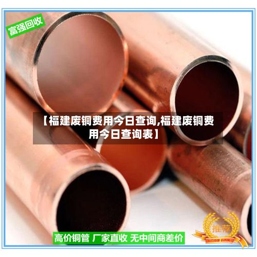 【福建废铜费用今日查询,福建废铜费用今日查询表】