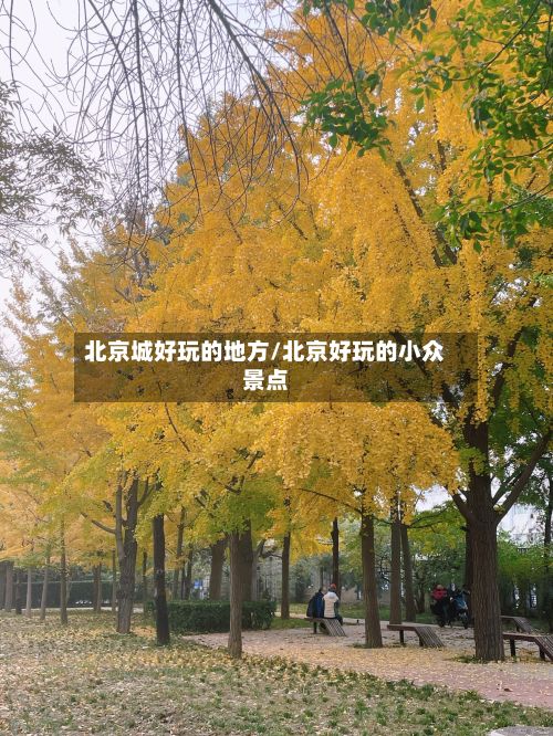北京城好玩的地方/北京好玩的小众景点-第2张图片