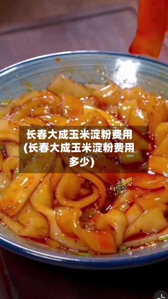 长春大成玉米淀粉费用(长春大成玉米淀粉费用多少)-第3张图片