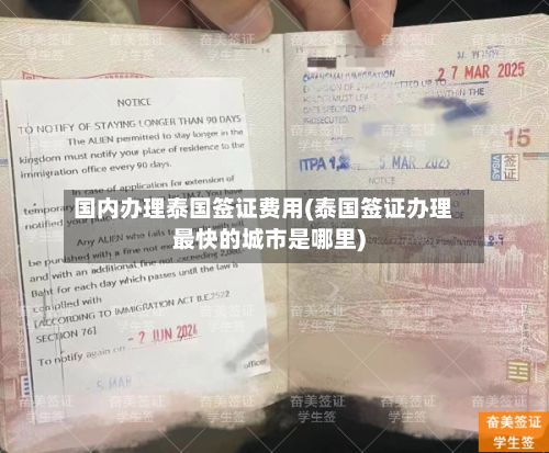 国内办理泰国签证费用(泰国签证办理最快的城市是哪里)-第2张图片