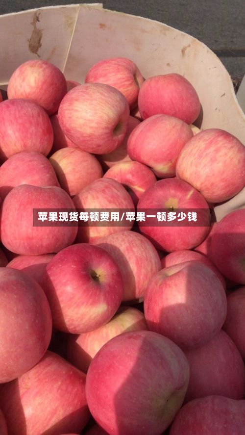 苹果现货每顿费用/苹果一顿多少钱