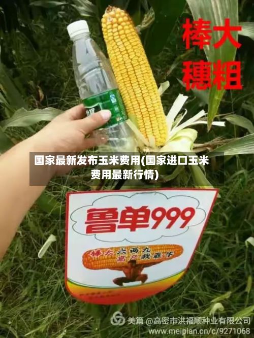 国家最新发布玉米费用(国家进口玉米费用最新行情)