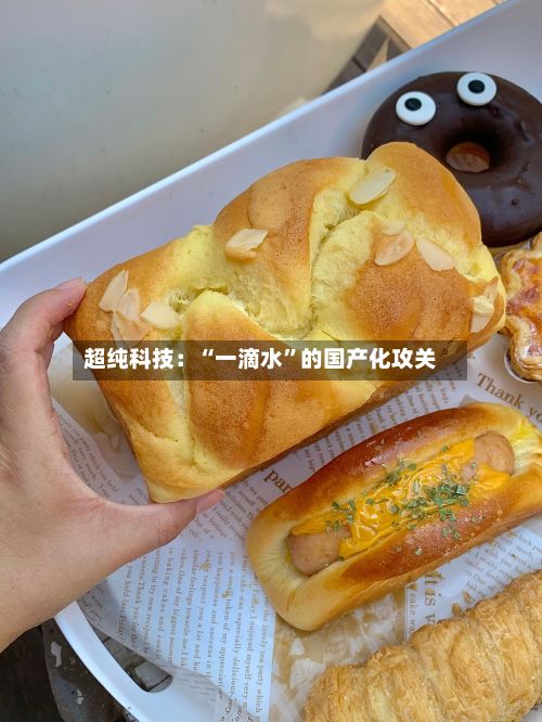 超纯科技：“一滴水	”的国产化攻关-第3张图片