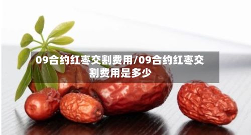 09合约红枣交割费用/09合约红枣交割费用是多少-第2张图片