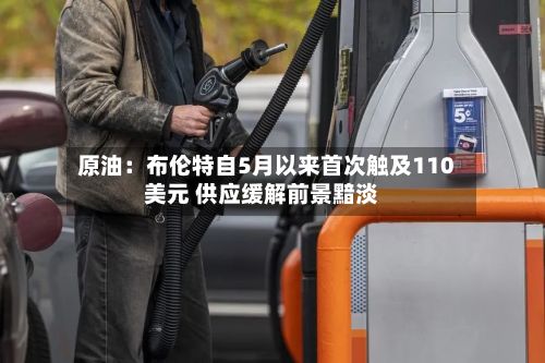 原油：布伦特自5月以来首次触及110美元 供应缓解前景黯淡-第2张图片