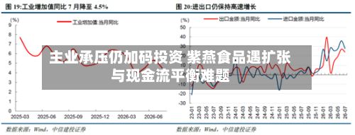 主业承压仍加码投资 紫燕食品遇扩张与现金流平衡难题