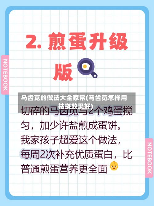 马齿苋的做法大全家常(马齿苋怎样用祛斑效果好)-第3张图片